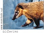 Linz Zoo Schule Linz Zoo Schule