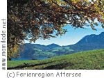Unterach Edelkastanienwald Waldlehrpfad Unterach Edelkastanienwald Waldlehrpfad