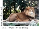 Walding Tiergarten Schule Walding Tiergarten Schule