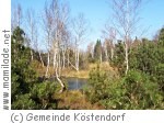 Köstendorf Wenger Moor Wanderung Köstendorf Wenger Moor Wanderung
