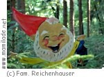Zauberwald Rauschelesee Zauberwald Rauschelesee