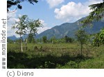 Strobl Wolfgangsee Blinklingmoos Strobl Wolfgangsee Blinklingmoos