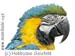 Krottendorf Hobbyzoo Gaisfeld Krottendorf Hobbyzoo Gaisfeld