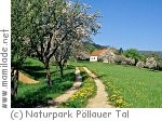 Naturpark Pöllauer Tal