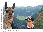 Dellach Lamatrekking