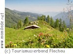 Flachau Wanderung Marbachalmen Flachau Wanderung Marbachalmen