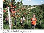 Naturpark Obst-Hügel-Land