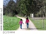 Leonding Turmwanderweg