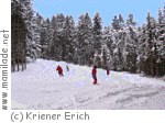 Stoaninger Alm Schifahren Stoaninger Alm Schifahren