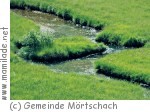 Mörtschach Astner Moos