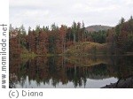Fuschl Eibensee Fuschl Eibensee