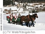 Wald im Pinzgau Pferdeschlittenfahrten