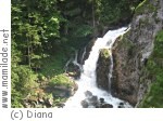 Bischofshofen Wasserfall und Ruine Bischofshofen Wasserfall und Ruine