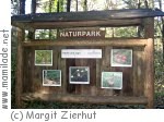 Großgmain Waldquizweg Großgmain Waldquizweg