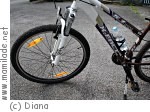 Salzkammergut Radweg