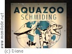 Aquazoo Schmiding Aquazoo Schmiding