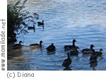Ebensee Offensee Ebensee Offensee