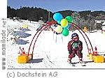 Gosau Sumsiwiese Gosau Sumsiwiese