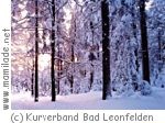 Bad Leonfelden-Moorwald Winter Bad Leonfelden-Moorwald Winter