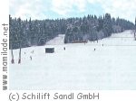 Viehberglifte in Sandl Viehberglifte in Sandl