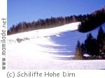Losenstein Schilifte Hohe Dirn