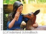Schindlbach Märchenwald Kinderland Schindlbach Märchenwald Kinderland