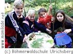 Ulrichsberg Böhmerwaldschule