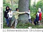 Ulrichsberg Waldtheater Ulrichsberg Waldtheater