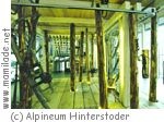 Hinterstoder Alpineum Hinterstoder Alpineum