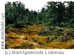 Tannermoor Wanderung