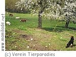 Tierparadies Schabenreith Tierparadies Schabenreith