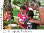 Rechberg Kindergeburtstag