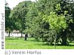Braunau Hortus Obstgarten
