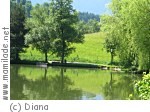 Saalfelden Ritzensee Saalfelden Ritzensee