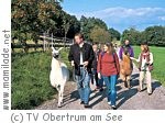 Obertrum Lamawanderung Obertrum Lamawanderung