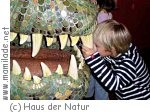 Haus der Natur Ferienprogramm Vorzeit