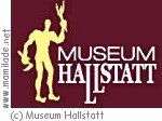 Hallstatt Museum