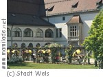 Wels Burg