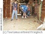 Schule: Bauernhof Krieglach Schule: Bauernhof Krieglach
