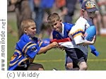Vikiddy