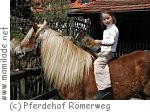 Pferdehof Römerweg Pferdehof Römerweg