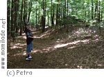 Waldlehrpfad Puch Waldlehrpfad Puch