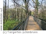 Tiergarten Schönbrunn Baumkronenweg Tiergarten Schönbrunn Baumkronenweg