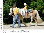Pferdestall Wiesn