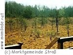 Attemsmoor Strass