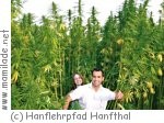 Hanflehrpfad Hanfthal