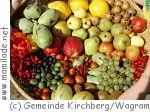 Alchemistenpark Kirchberg/Wagram