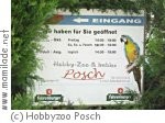 Kindergeburtstag Hobbyzoo Posch Kindergeburtstag Hobbyzoo Posch