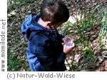 Natur-Wald-Wiese Kindergeburtstag