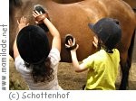 Schottenhof Semesterferienkurs